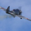 1dfh-grabenst-2009-1707-088