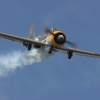 1dfh-grabenst-2009-1707-014