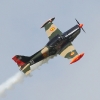 1dfh-grabenst-2009-1707-031