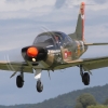 1dfh-grabenst-2009-1707-036