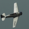 1dfh-grabenst-2009-1707-056