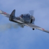 1dfh-grabenst-2009-1707-088