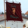 Oberstetter Fasnetsumzug 19.02.2017