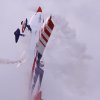 Großes Flugplatzfest MFC-Heuberg e.V. 21.06.2015