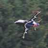 Großes Flugplatzfest MFC-Heuberg e.V. 21.06.2015