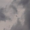 Hagelflieger D-IHHH Jumara Air Service 23.07.2016