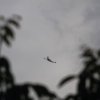 Hagelflieger D-IHHH Jumara Air Service 23.07.2016