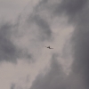 Hagelflieger D-IHHH Jumara Air Service 23.07.2016