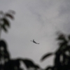 Hagelflieger D-IHHH Jumara Air Service 23.07.2016
