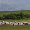 img_0569