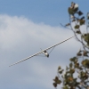 Holzfliegertreffen mit Flugplatzhock Hayingen 12.09.2015