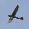 Holzfliegertreffen mit Flugplatzhock Hayingen 12.09.2015