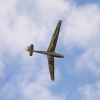 Holzfliegertreffen mit Flugplatzhock Hayingen 12.09.2015