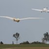 Holzfliegertreffen mit Flugplatzhock Hayingen 13.09.2015