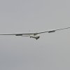 Holzfliegertreffen mit Flugplatzhock Hayingen 13.09.2015