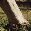 Holzfliegertreffen mit Flugplatzhock Hayingen 13.09.2015