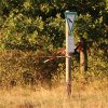 Holzfliegertreffen mit Flugplatzhock Hayingen 13.09.2015
