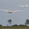 Holzfliegertreffen mit Flugplatzhock Hayingen 13.09.2015