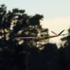 Holzfliegertreffen mit Flugplatzhock Hayingen 13.09.2015