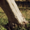 Holzfliegertreffen mit Flugplatzhock Hayingen 13.09.2015