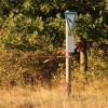 Holzfliegertreffen mit Flugplatzhock Hayingen 13.09.2015