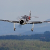 1dfh-horb-09_0034