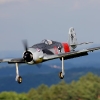 1dfh-horb-09_0035