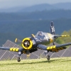 1dfh-horb-09_0037