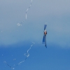 Horizon Airmeet 2013