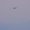 1dfh-horizon-airmeet-13-083