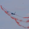 1dfh-horizon-airmeet-13-223