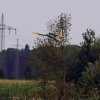 1dfh-horizon-airmeet-13-227