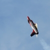 Horizon Airmeet 3013