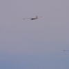 1dfh-horizon-airmeet-13-083