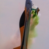 1dfh-horizon-airmeet-13-177