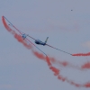 1dfh-horizon-airmeet-13-223