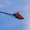 1dfh-horizon-airmeet-13-226