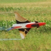 Horizon Airmeet Genderkingen 2015