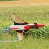 Horizon Airmeet Genderkingen 2015