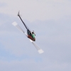 Horizon Airmeet Genderkingen 2015