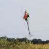 Horizon Airmeet Genderkingen 2015