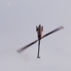 Horizon Airmeet Genderkingen 2015
