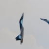 Horizon Airmeet Genderkingen 2015