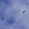 Airmeet 2014 Genderkingen