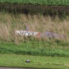 Airmeet 2014 Genderkingen