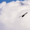 Horizon Airmeet Genderkingen 19.08.2017