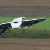 Horizon Airmeet Genderkingen 19.08.2017