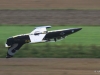 Horizon Airmeet Genderkingen 19.08.2017