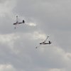 Horizon Airmeet Genderkingen 21.08.2016