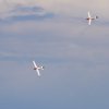 Horizon Airmeet Genderkingen 21.08.2016